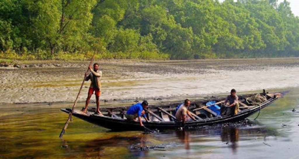 সুন্দরবনে ঢুকে বাংলাদেশের জেলেদের ওপর বিএসএফের হামলা